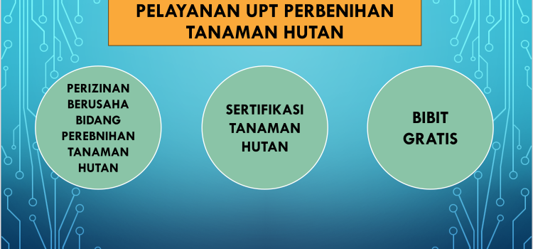 Sertifikasi Perbenihan Tanaman Hutan dan Alurnya