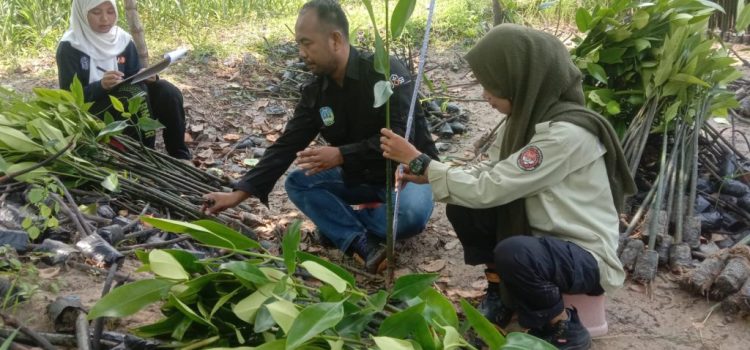 MUTU BIBIT SANGAT MENENTUKAN KEBERHASILAN PENANAMAN LOH SOBAT!! BERIKUT PENJELASANNYA…